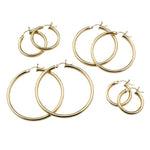 Earrings Medium Gold Hoop Earrings